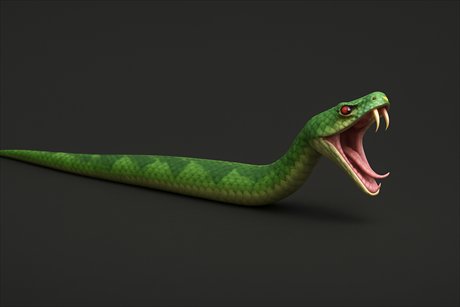 Snake